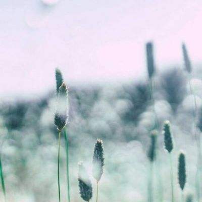 博鱼综合体育APP